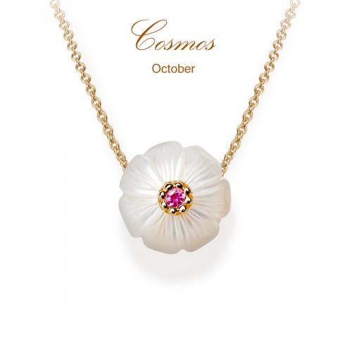 Cosmos Pearl Flower